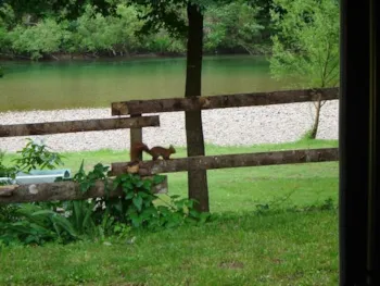 Stellplatz - Emplacement Confort Bord De Rivière (Avec Électricité 6A) Au Camping Saint Pal - Camping Saint-Pal