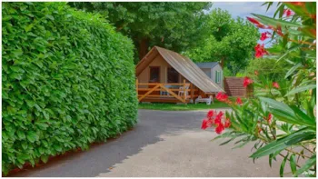 Mietunterkunft - Bungalow Toilé Amazone Au Saint Pal - Samedi - Camping Saint-Pal