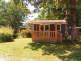 Mobil-Home Cactus 1 Chambre 18M² - Nouveauté 2020 - Mobil-Home Cactus 1 Chambre 18M² - Nouveauté 2020 -
