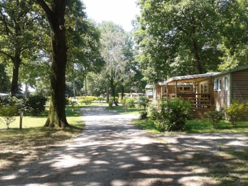 Foto #1 van Camping OAKi