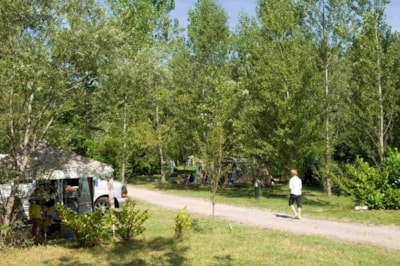 Pitch: car + tent or caravan + electricity