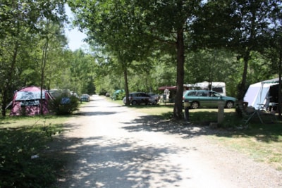 Pitch: car + tent or caravan + electricity