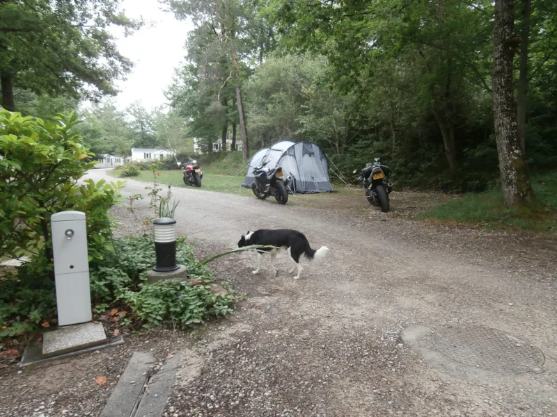 Forfait Nuit Étape : Emplacement 1 Véhicule + 1 Caravane Ou 1 Tente Ou 1 Camping-Car