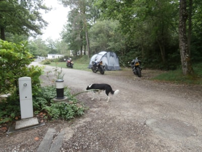 Stopover: Pitch 1 car +1 tent or 1 caravan or 1 camping-car