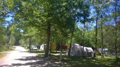 Pitch: car + tent or caravan without electricity