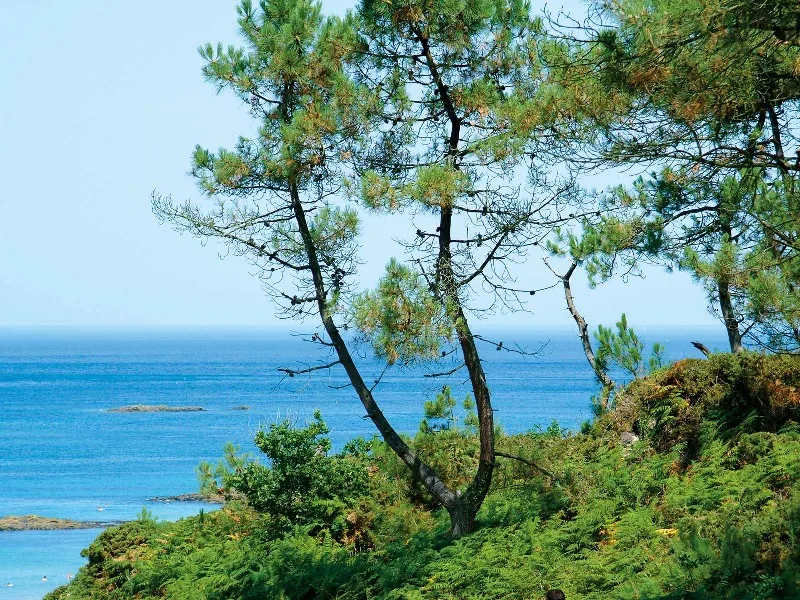 Camping Yelloh! Village Saint Pabu Plage