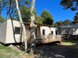 Location - Privilege 40-4 (Mobil-Home) - Tv, Lv, Grille-Pain, Caf Expresso, 4 Ch, Env. 40M² - Max 7 Adultes / - Camping Les Bruyères