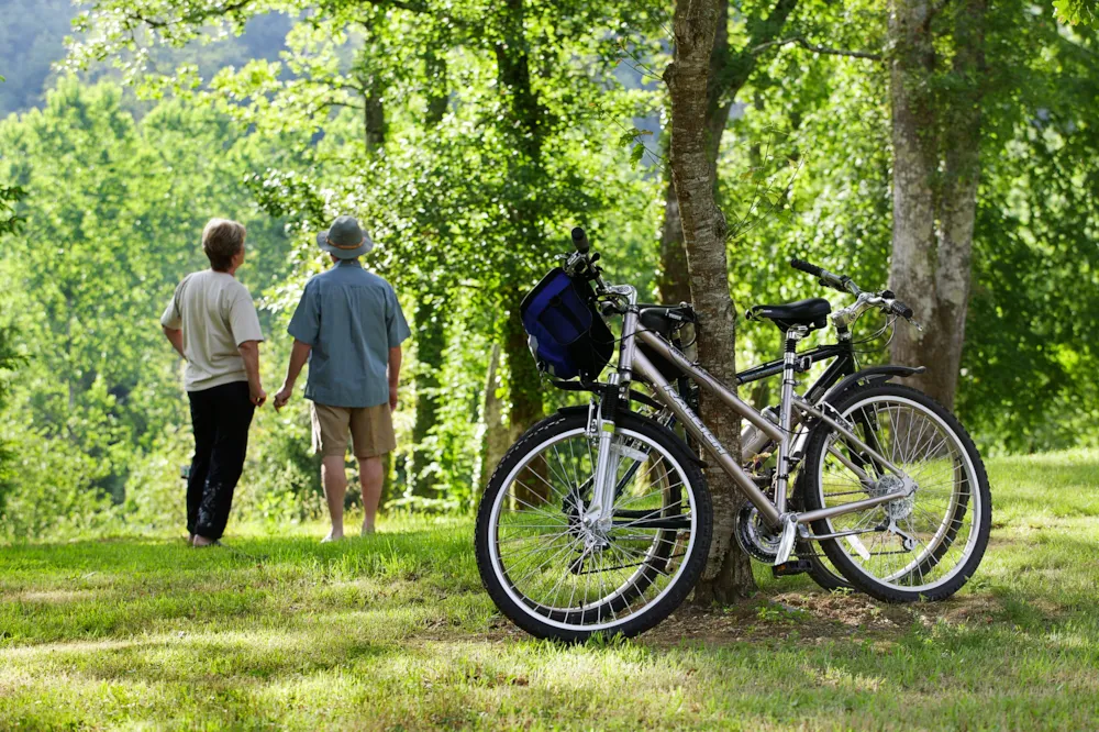 Camping Les Bruyères