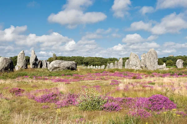 Camping Les Bruyères