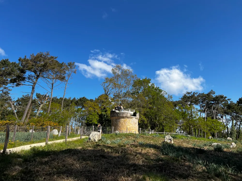 Camping Les Bruyères