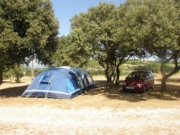 Pitch - Pitch + 1 Car + Tent , Caravan Or Camping-Car + Hot Water - CAMPING LES TRUFFIERES***