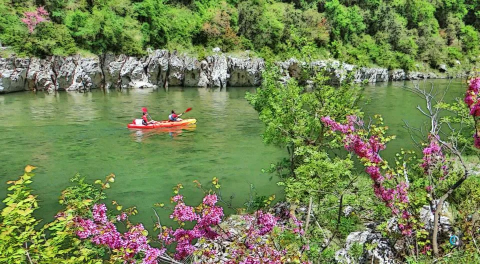 CAMPING LES TRUFFIERES