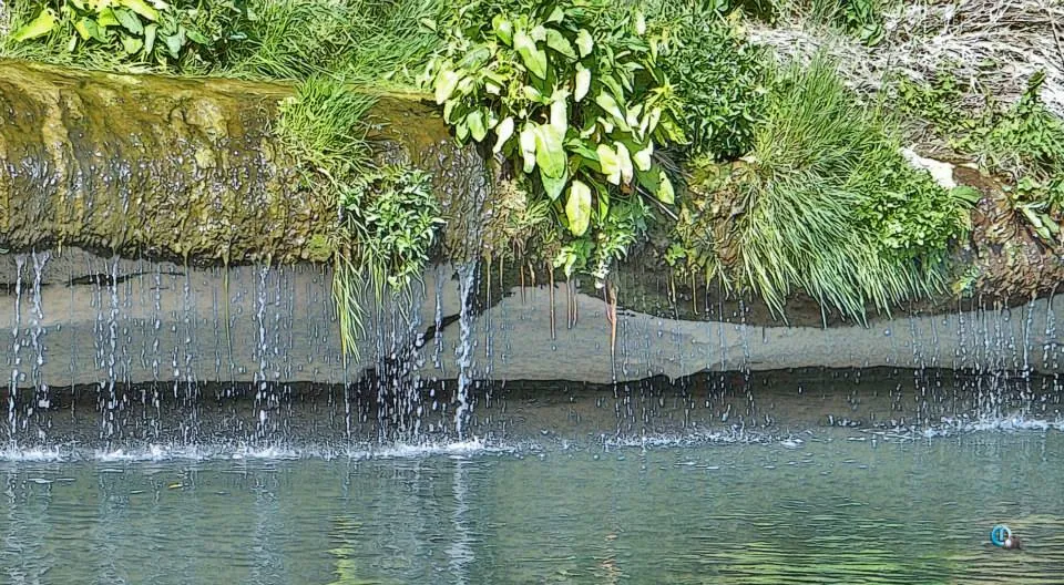 CAMPING LES TRUFFIERES