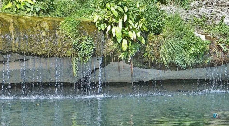 CAMPING LES TRUFFIERES***