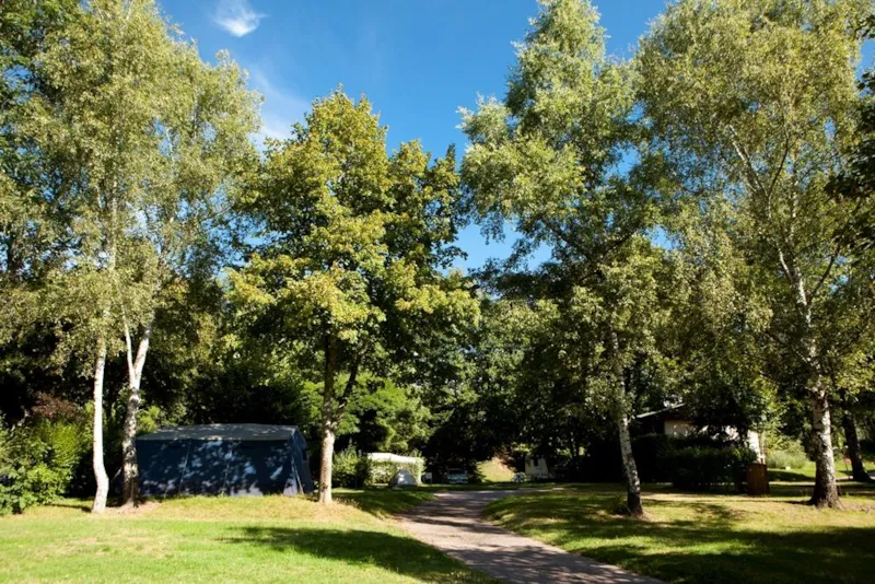 Forfait Confort Avec Électricité