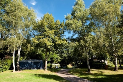 Camping package (pitch, 1 vehicle, 2 people)