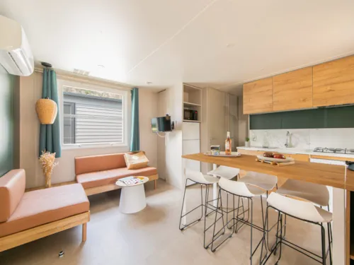 Location - Cottage Cosy - 3 Ch- 1 Sdb - Climatisé - image n°3 - YELLOH VILLAGE La Plage Fleurie