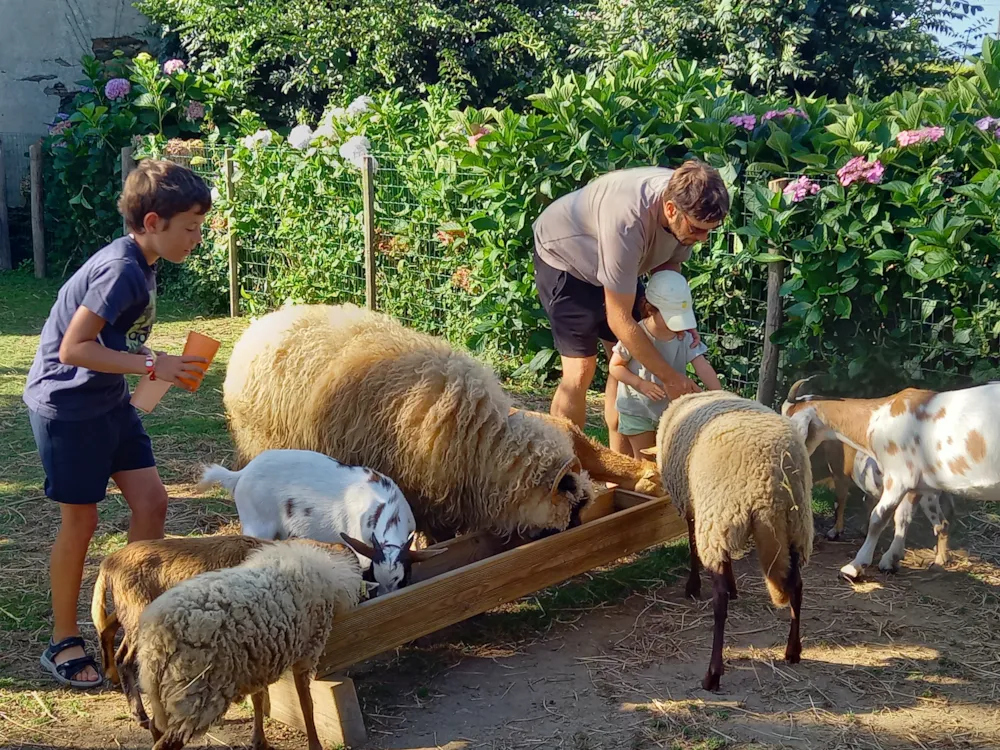 Camping du Vieux Verger