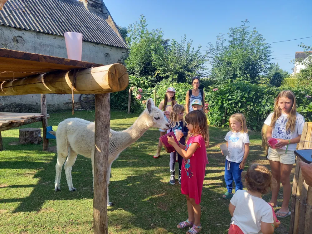 Camping du Vieux Verger