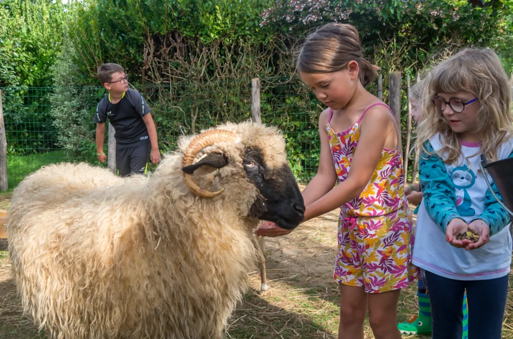 Camping du Vieux Verger