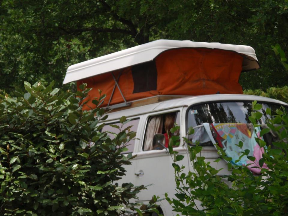 Kampeerplaats - Campingplaats Classique (Auto + Tent/Caravan Of Kampeerauto) - Camping La Source