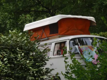 Stellplatz - Stellplatz Confort Classique (Auto + Zelt/Wohnwagen Oder Wohnmobil) 10A - Camping La Source
