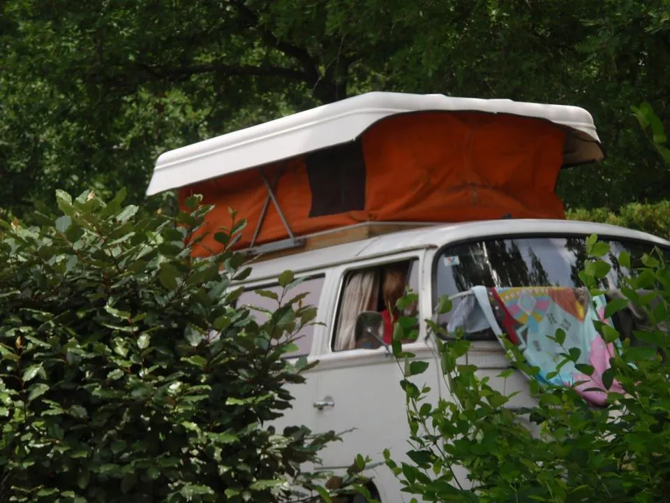 Campingplaats confort classique (auto + tent/caravan of kampeerauto) 10A