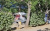 Camping Qualité