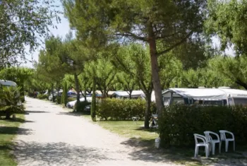 Stellplatz - Stellplatz Pauschale Wanderer Oder Radfahrer Mit Zelt - Camping MONPLAISIR PROVENCE**** 
