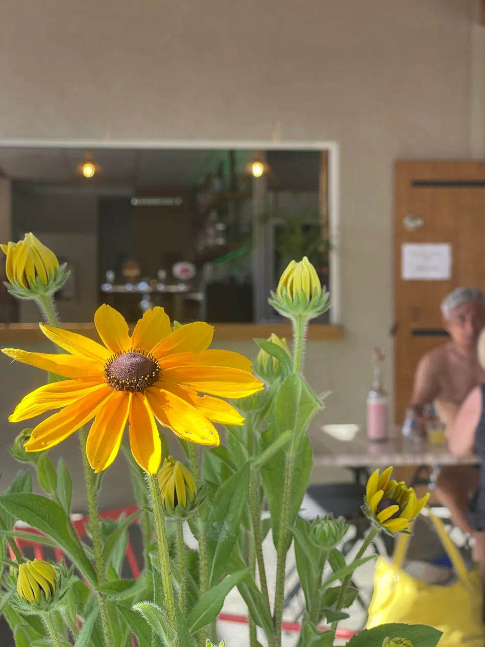 Camping MONPLAISIR PROVENCE**** 