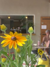 Camping MONPLAISIR PROVENCE**** 