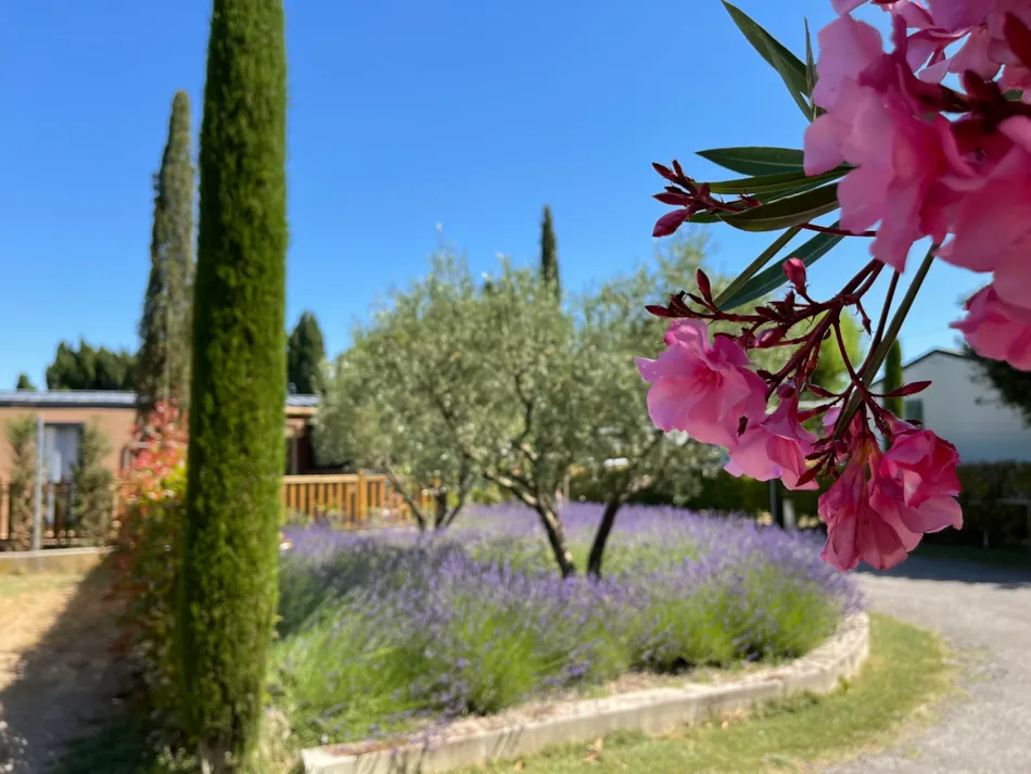 Camping MONPLAISIR PROVENCE**** 
