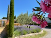 Camping MONPLAISIR PROVENCE**** 