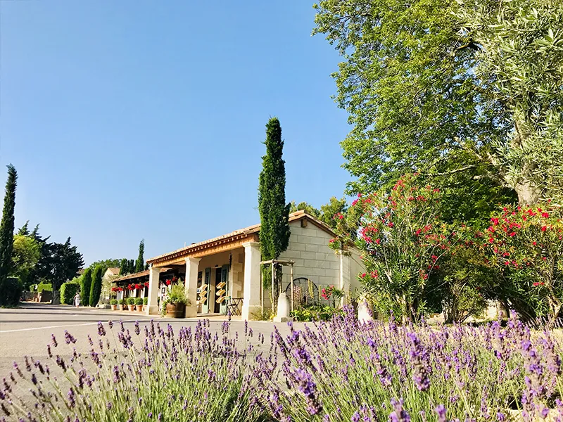 Camping MONPLAISIR PROVENCE**** 