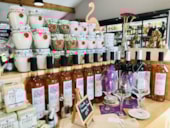 Camping MONPLAISIR PROVENCE**** 