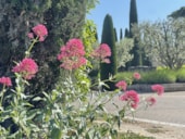 Camping MONPLAISIR PROVENCE**** 