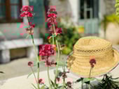 Camping MONPLAISIR PROVENCE**** 