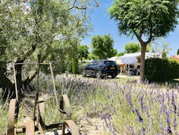 Stellplatz - Stellplatz Grand Confort (Fließwasser- Und Abwasseranschluss) - Camping MONPLAISIR PROVENCE**** 