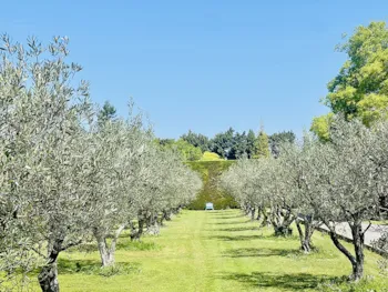 Stellplatz - Stellplatz Xl +100M² - Camping MONPLAISIR PROVENCE**** 