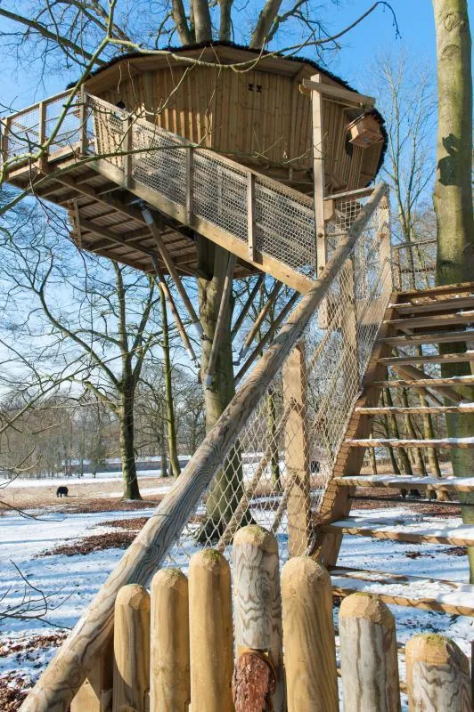 Cabane De L'ecureuil