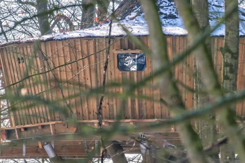 Cabane De L'ecureuil
