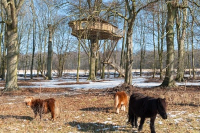 Wooden cabin L'Ecureuil