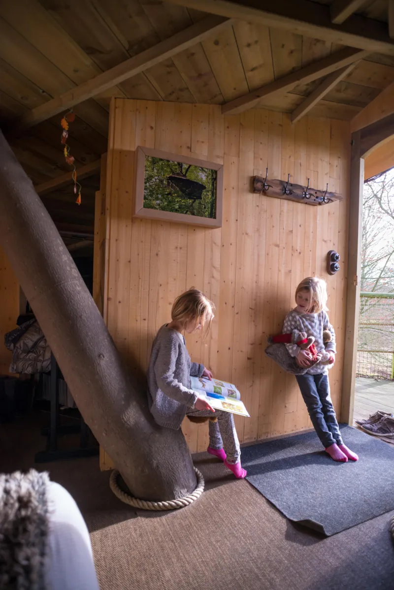 Cabane De L'ecureuil