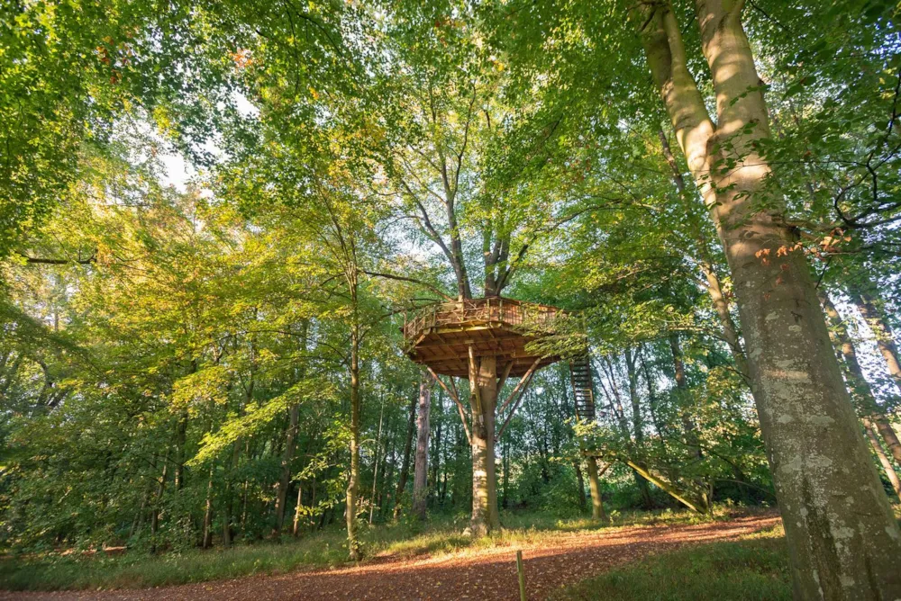Accommodation - Wooden Cabin L'ecureuil - Château des Tilleuls