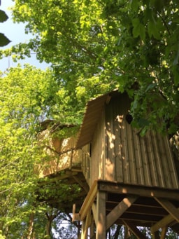 Accommodation - Wooden Cabin Le Nichoir - Château des Tilleuls