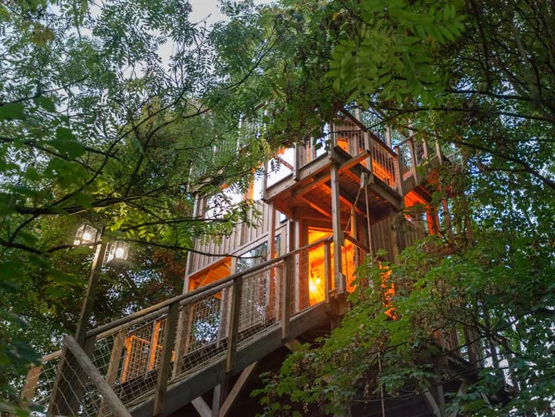 Accommodation - Tree Houses - L’Observatoire - Spa - Château des Tilleuls