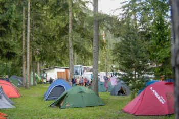 Stellplatz - (Zone 1/5) Basic Stellplatz Zelt 3X3mt/Airtent Mit Auto - Camping Catinaccio Rosengarten
