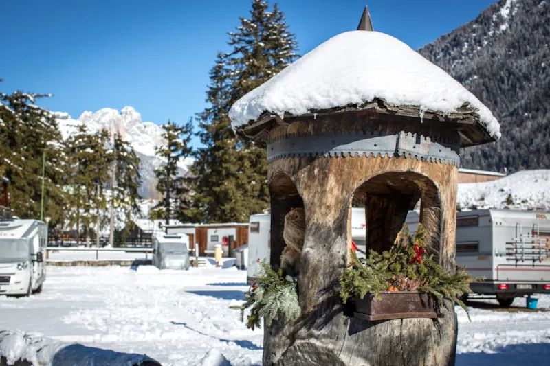 (Area 1) Classic Pitch  Vw Bus/Camper/Caravan/Big Tent/Trailer Tent