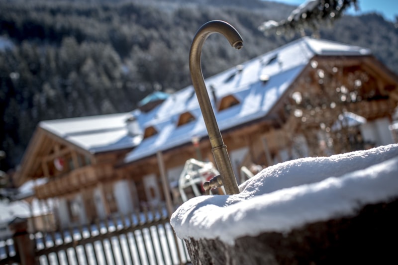 Camping Catinaccio Rosengarten photo 4