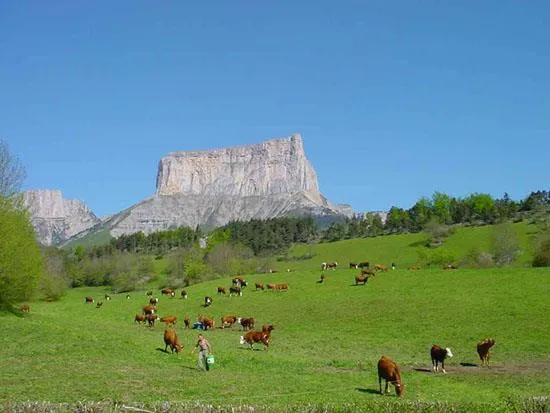 Camping Belle Roche